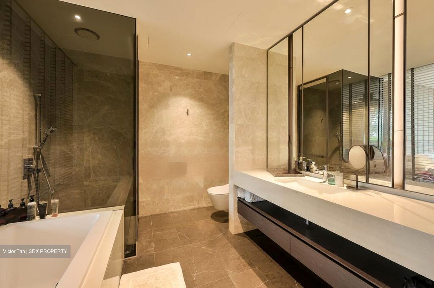 Amber Park (D15), Condominium #454551231